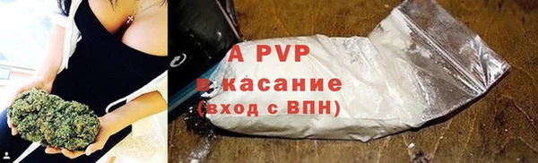 молекула духа Шарыпово