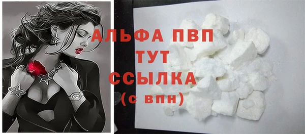молекула духа Шарыпово