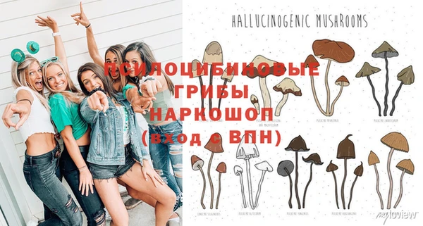 круглые Дмитров